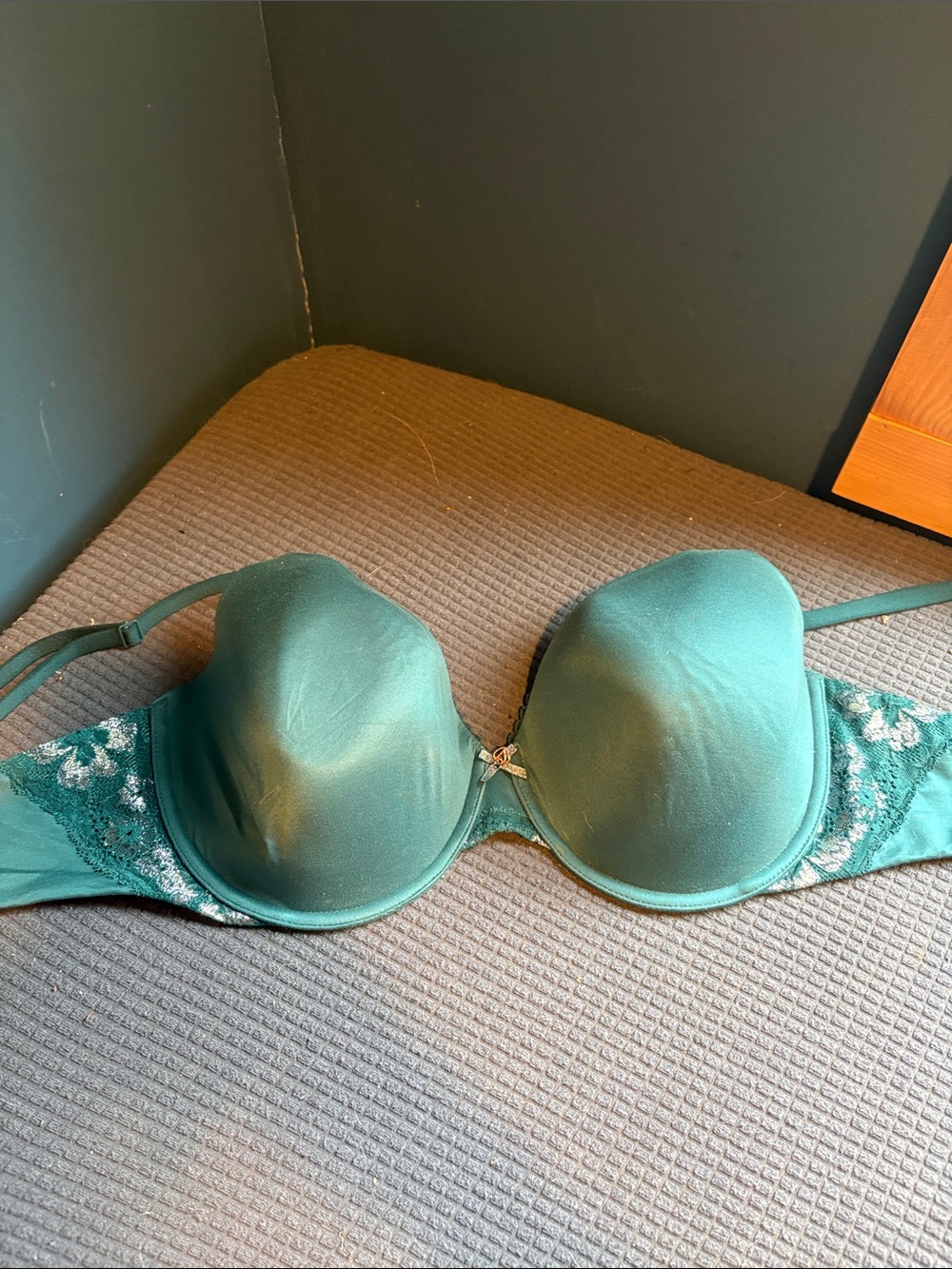 Body By Victoria 38DD EUC